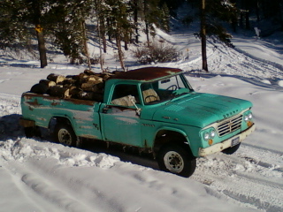 Hauling some fire wood