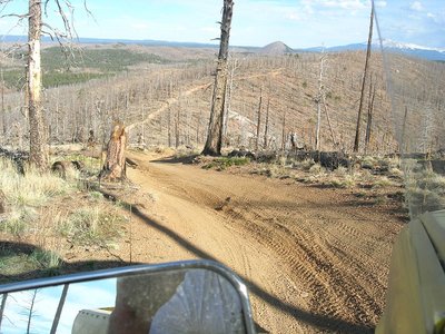 Pike's Peak in background