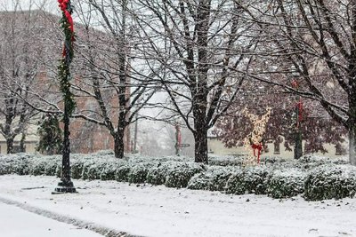 Alexander City Snow.