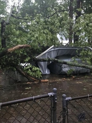 Tree on carport