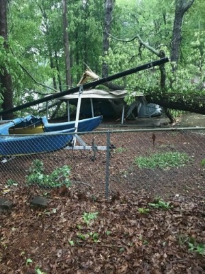 Tree on carport