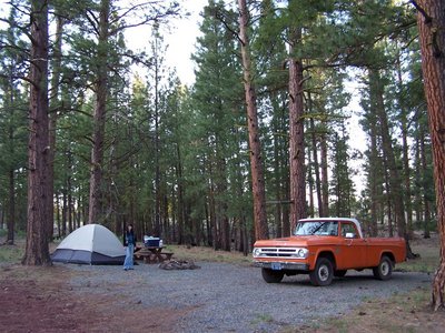 camping_w100 (Large).JPG