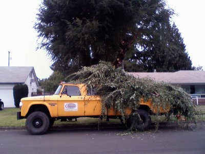 Hauling tree trimmings