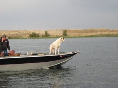IMG_6439.JPG
