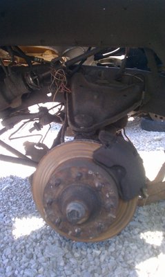 IMAG0459.jpg