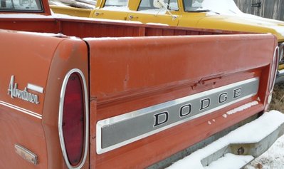 71 D100 Sport Adventurer tailgate 2.JPG