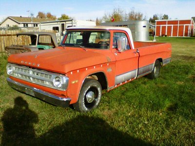 Orange 71-4.jpg