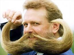 stached.jpg
