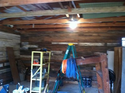 South wall - looking in from the door.