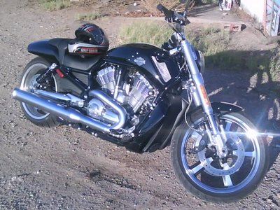 vrod muscle.JPG